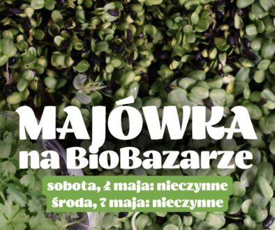 BB_grafiki_blog-kopia