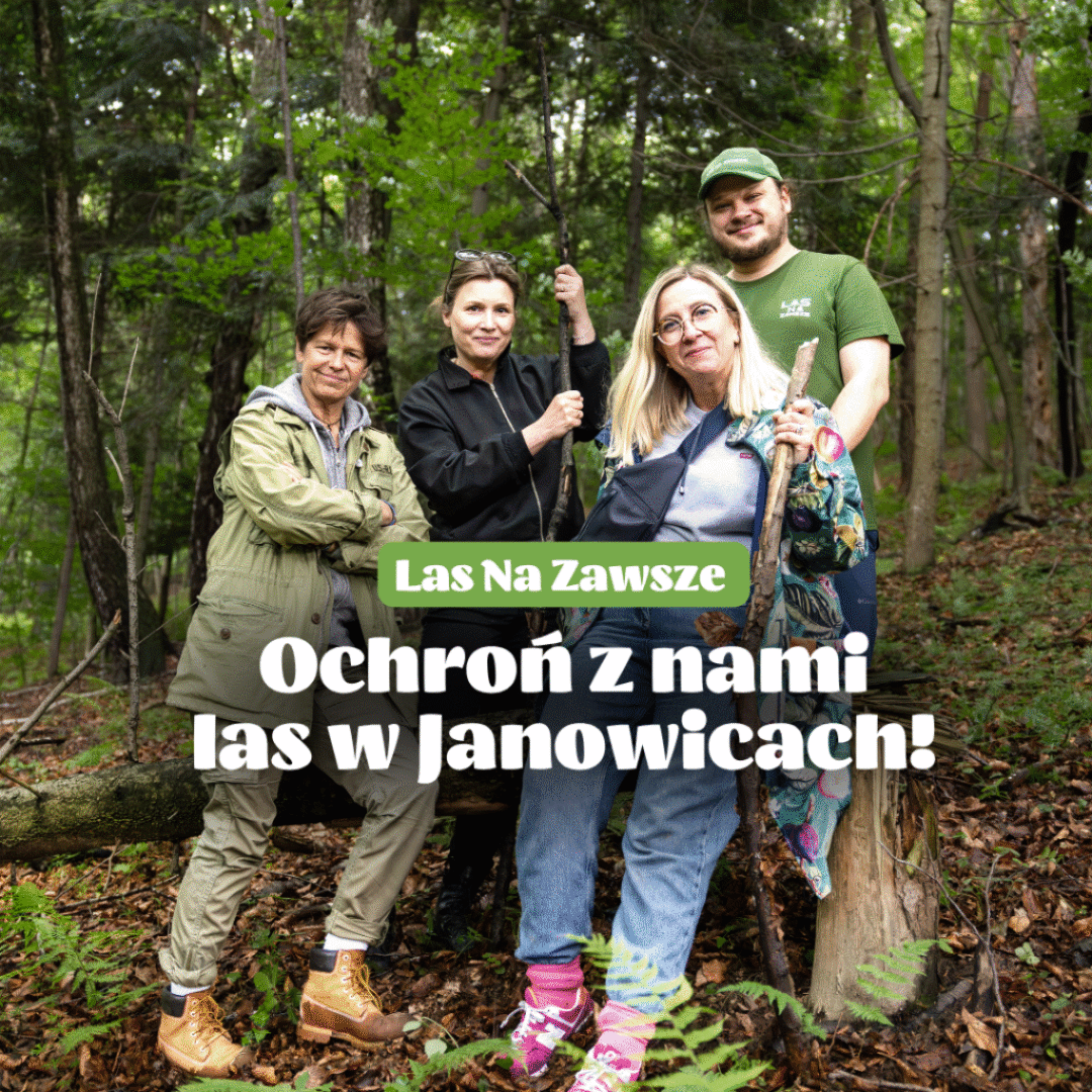 Ochroń z nami las na zawsze! BioBazar dołącza do wyjątkowej akcji